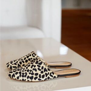 Emerson Fry Leopard Mules slip ons